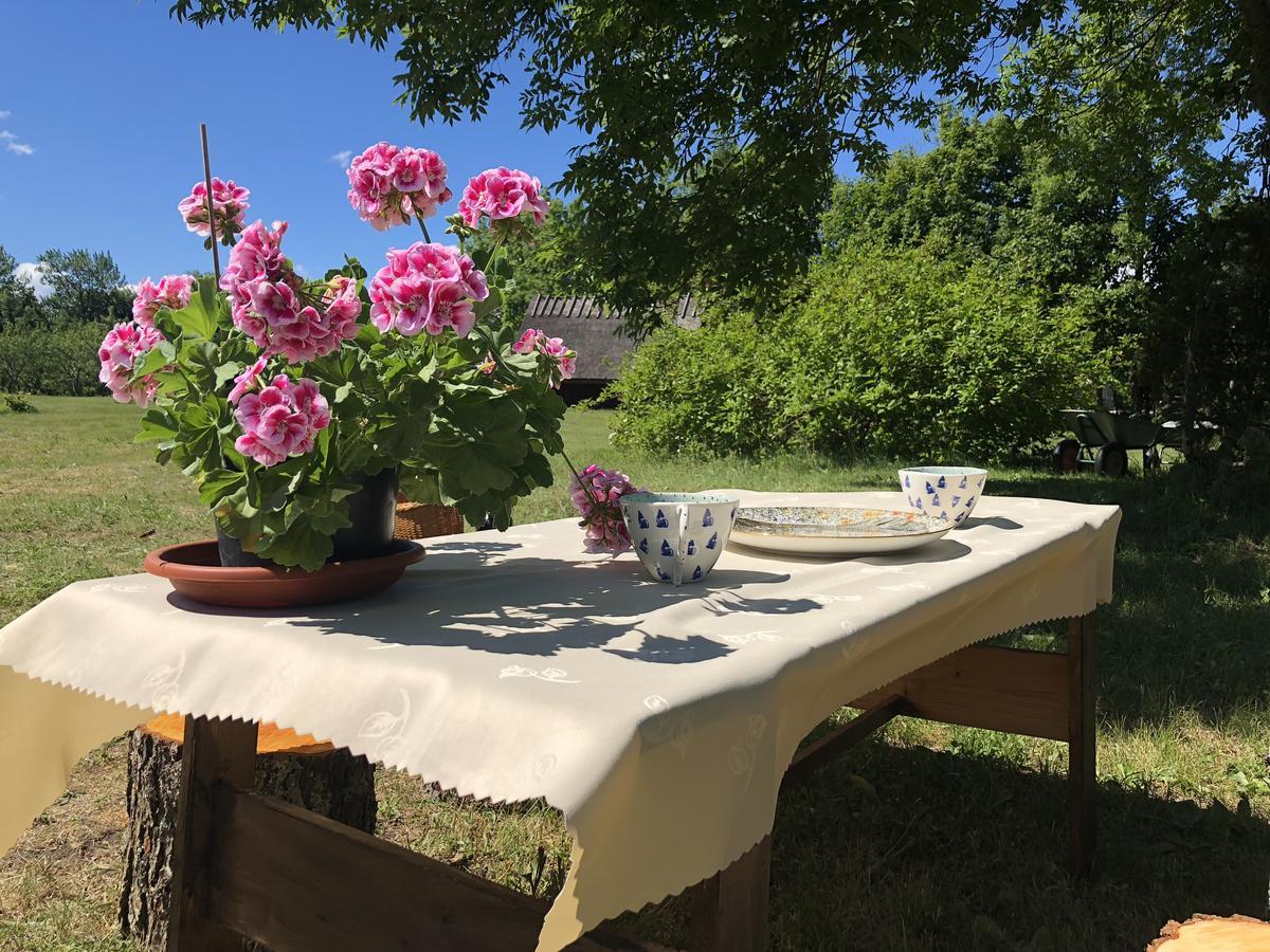 Kaespri Farmstay Koguva 외부 사진